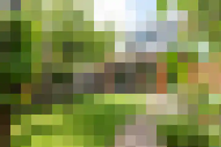 Willem de Zwijgerlaan 78 Castricum thumbnail 29