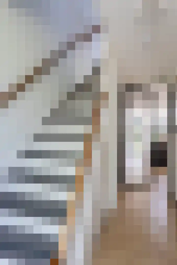 Willem de Zwijgerlaan 78 Castricum thumbnail 31