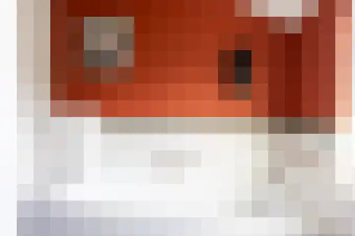 Willem de Zwijgerlaan 78 Castricum thumbnail 47