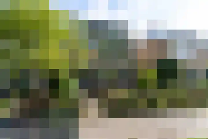 Willem de Zwijgerlaan 78 Castricum thumbnail 50