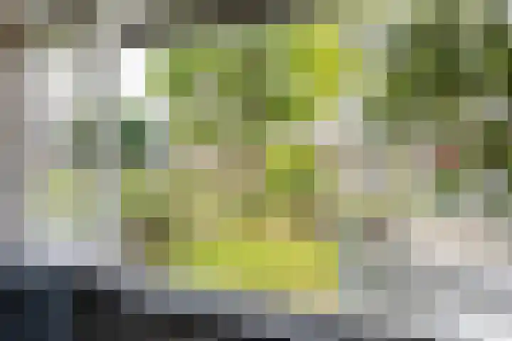 Willem de Zwijgerlaan 78 Castricum thumbnail 6