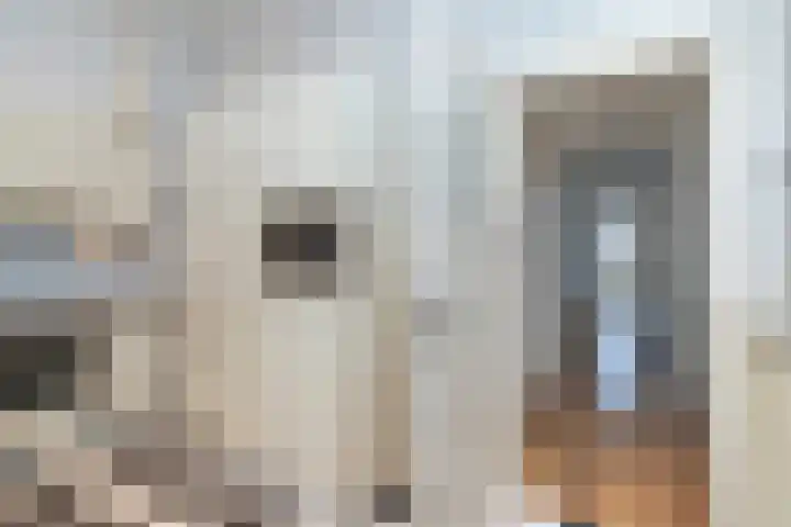 Willem de Zwijgerlaan 79 Den Haag thumbnail 10