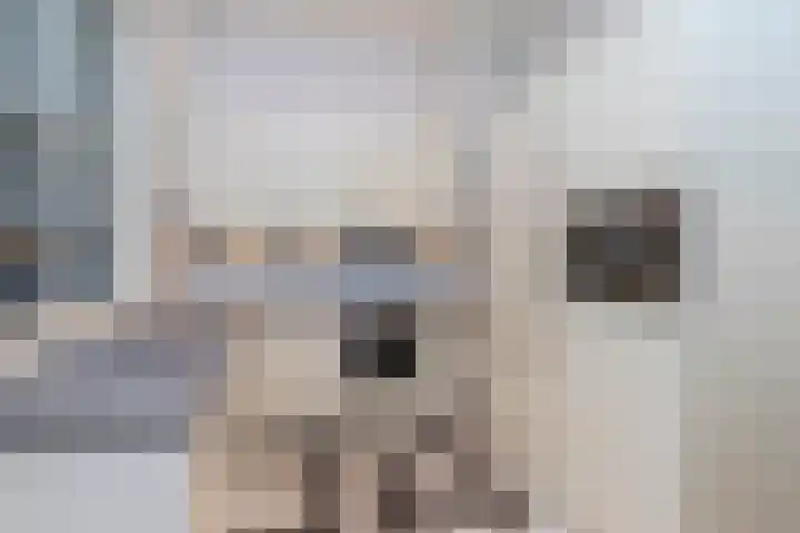 Willem de Zwijgerlaan 79 Den Haag thumbnail 11