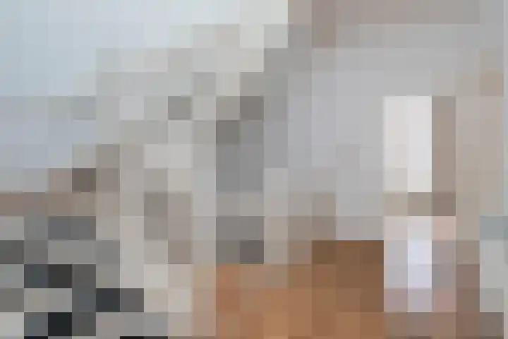 Willem de Zwijgerlaan 79 Den Haag thumbnail 13