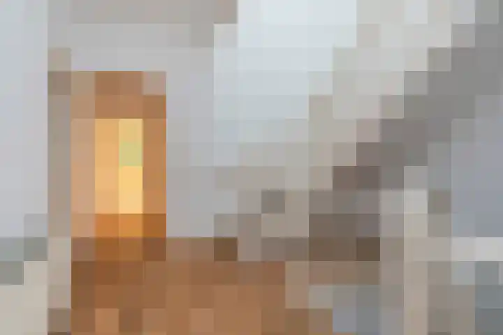 Willem de Zwijgerlaan 79 Den Haag thumbnail 14