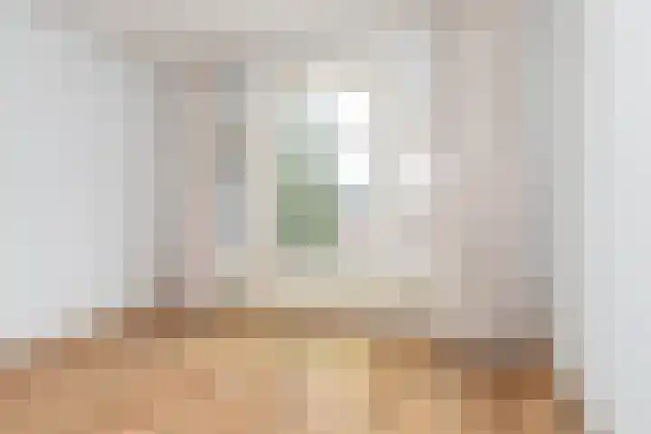 Willem de Zwijgerlaan 79 Den Haag thumbnail 16