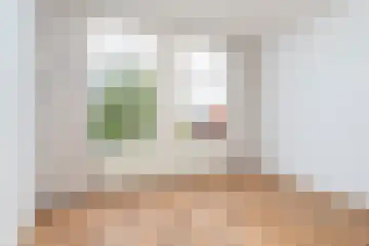 Willem de Zwijgerlaan 79 Den Haag thumbnail 28