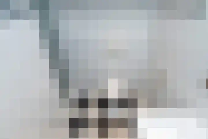 Willem de Zwijgerlaan 79 Den Haag thumbnail 33