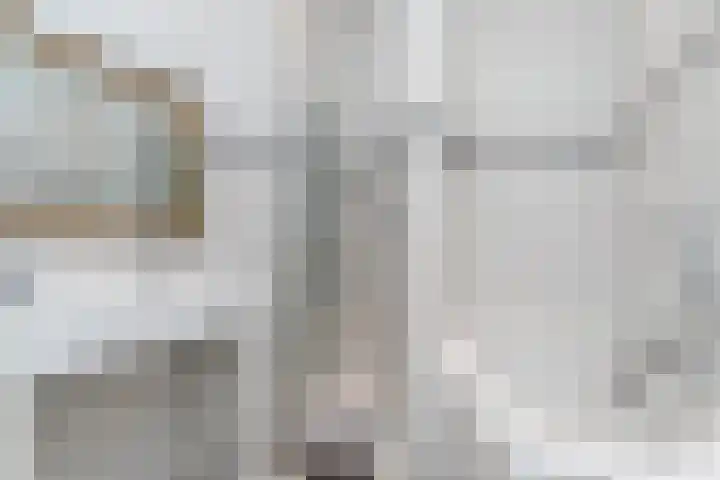 Willem de Zwijgerlaan 79 Den Haag thumbnail 34