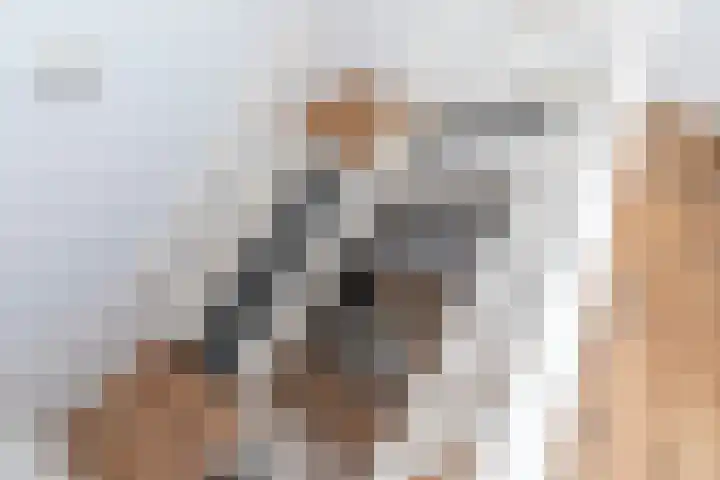 Willem de Zwijgerlaan 79 Den Haag thumbnail 35