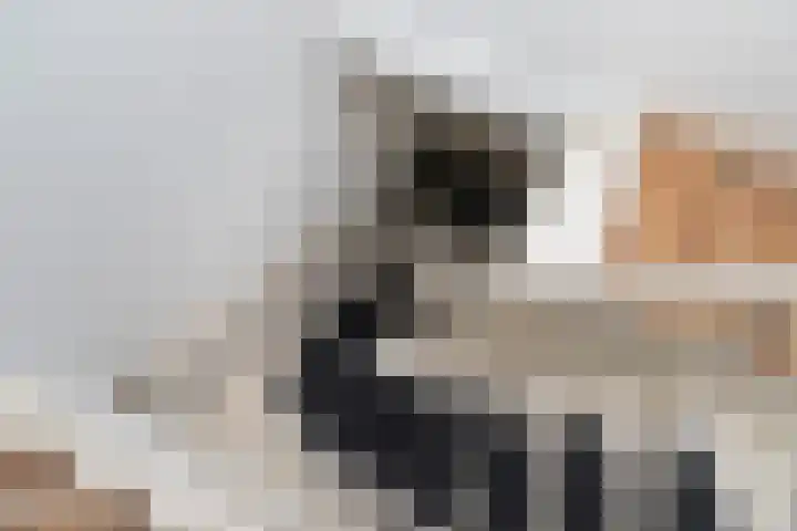 Willem de Zwijgerlaan 79 Den Haag thumbnail 38