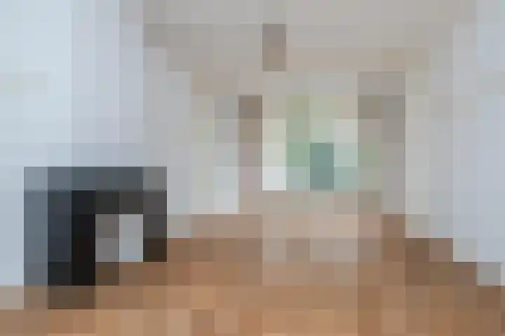 Willem de Zwijgerlaan 79 Den Haag thumbnail 4