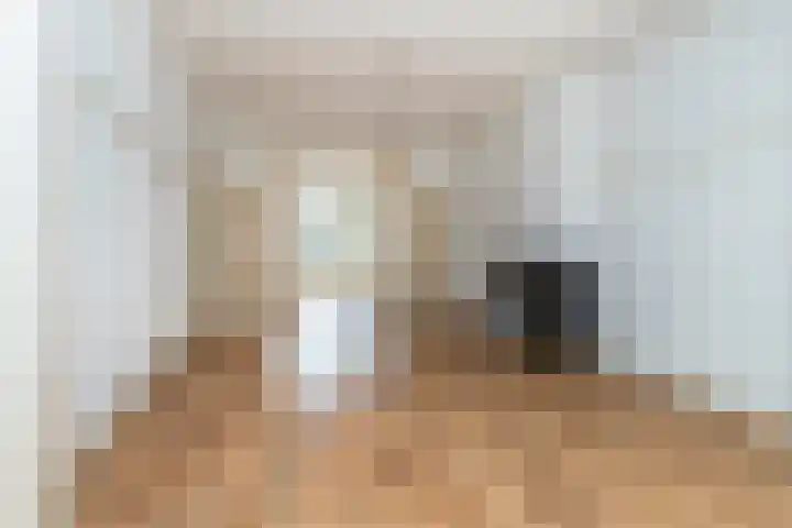 Willem de Zwijgerlaan 79 Den Haag thumbnail 41