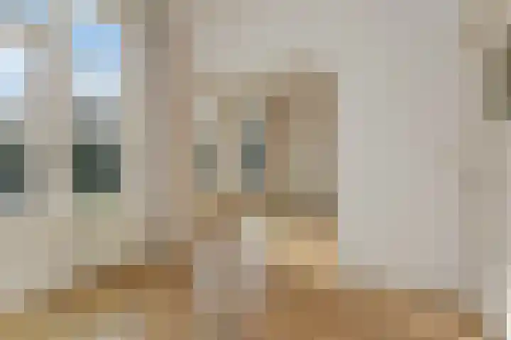 Willem de Zwijgerlaan 79 Den Haag thumbnail 45