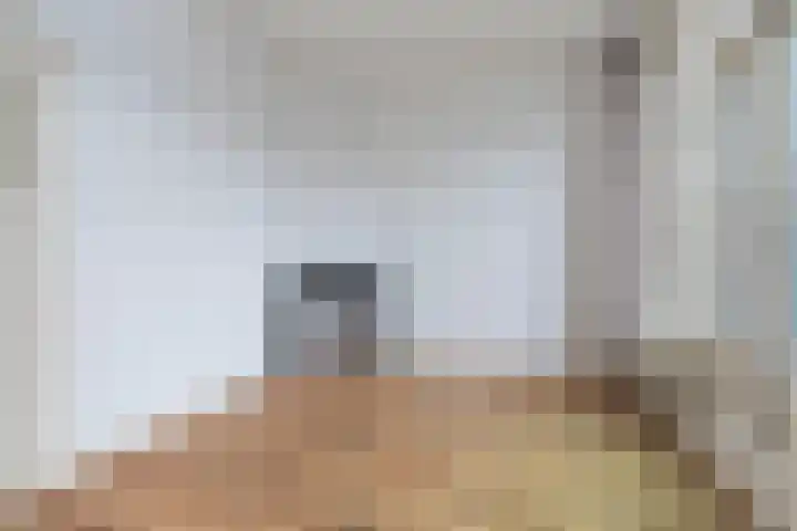 Willem de Zwijgerlaan 79 Den Haag thumbnail 48