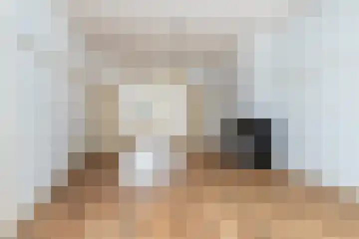 Willem de Zwijgerlaan 79 Den Haag thumbnail 54