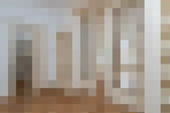 Willem de Zwijgerlaan 79 Den Haag thumbnail 59