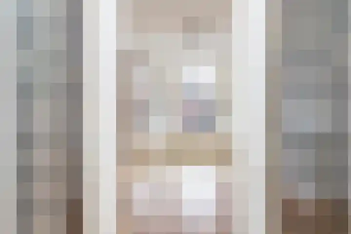 Willem de Zwijgerlaan 79 Den Haag thumbnail 60