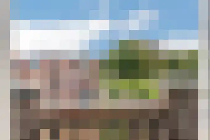 Willem de Zwijgerlaan 79 Den Haag thumbnail 62