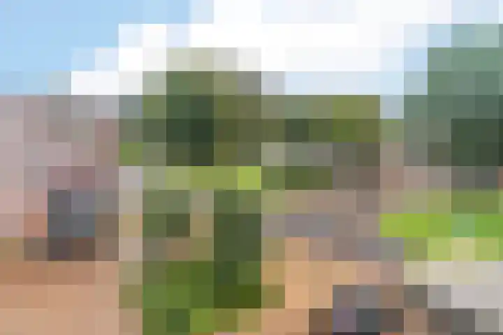 Willem de Zwijgerlaan 79 Den Haag thumbnail 63