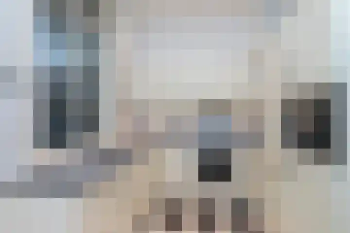 Willem de Zwijgerlaan 79 Den Haag thumbnail 8