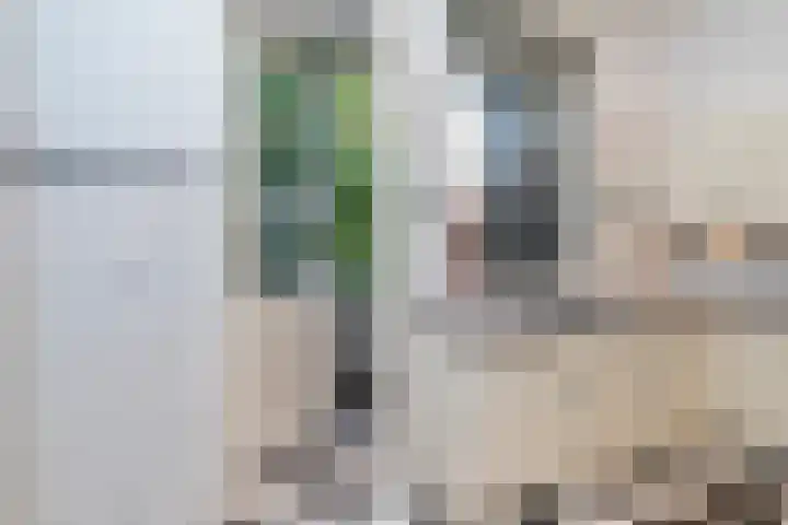 Willem de Zwijgerlaan 79 Den Haag thumbnail 9