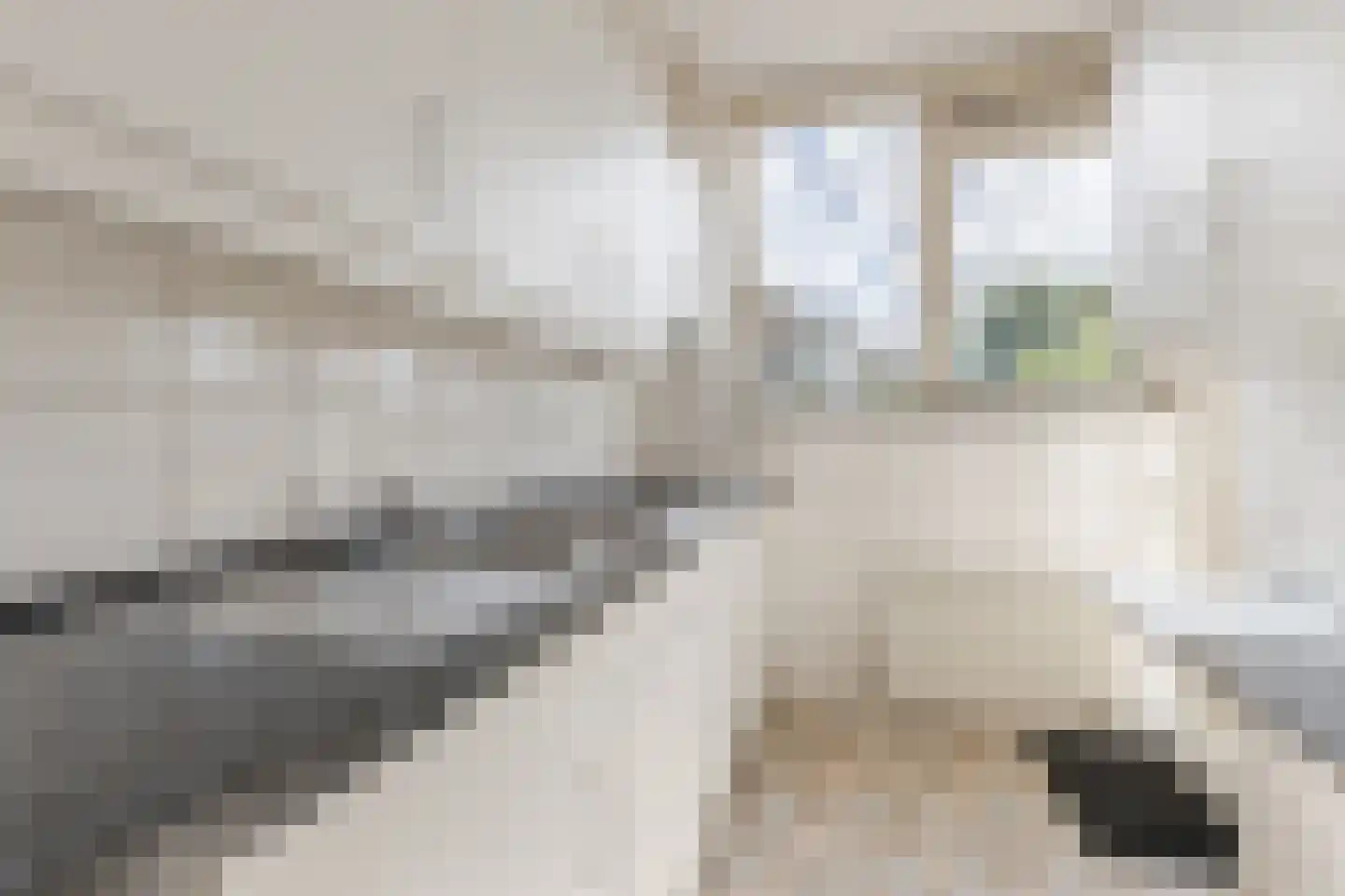 Willem de Zwijgerlaan 8 Alkmaar thumbnail 14