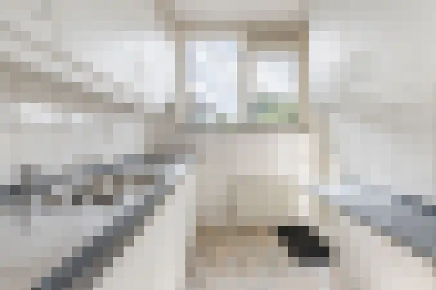 Willem de Zwijgerlaan 8 Alkmaar thumbnail 15