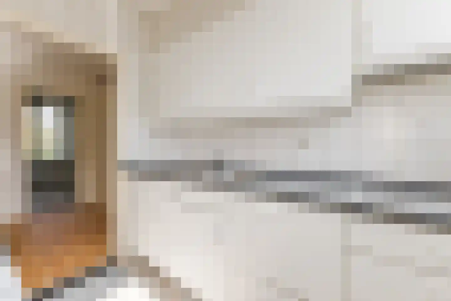 Willem de Zwijgerlaan 8 Alkmaar thumbnail 16