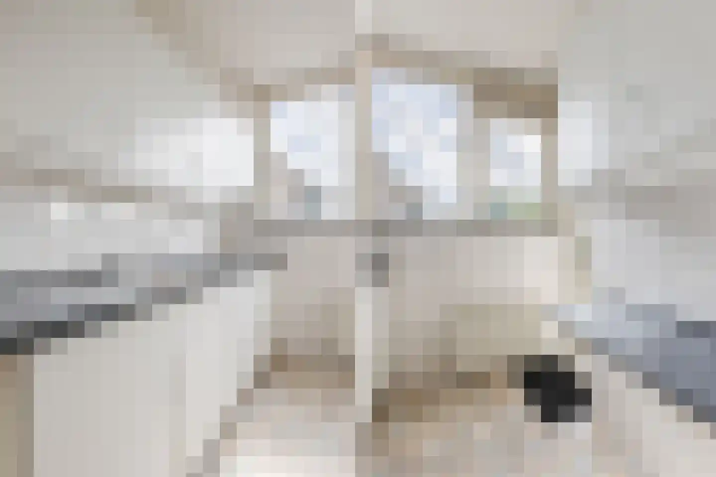 Willem de Zwijgerlaan 8 Alkmaar thumbnail 19
