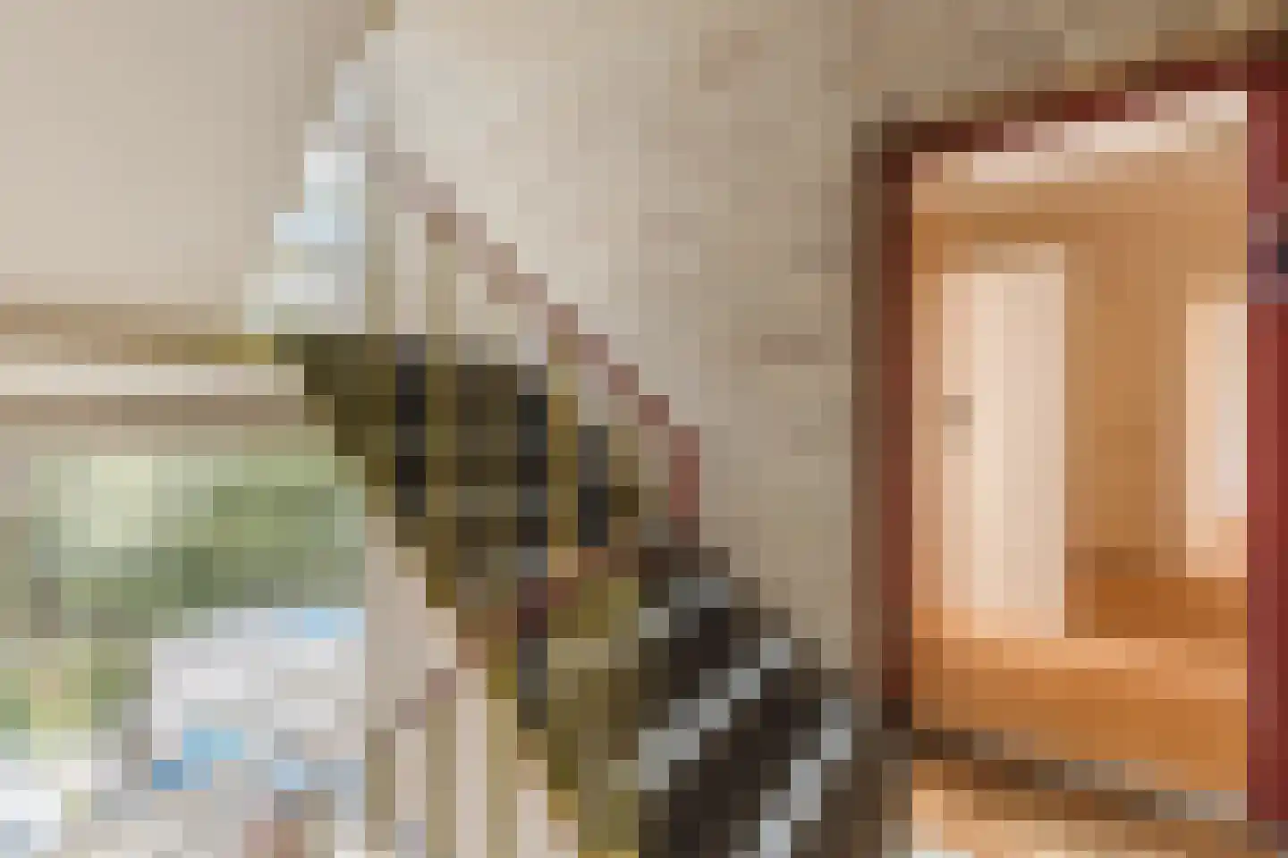 Willem de Zwijgerlaan 8 Alkmaar thumbnail 6