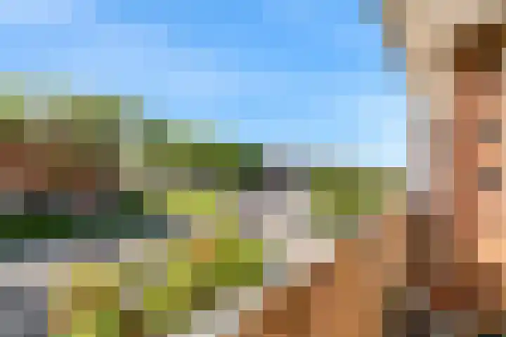 Willem de Zwijgerlaan 8 Alphen aan den Rijn thumbnail 16