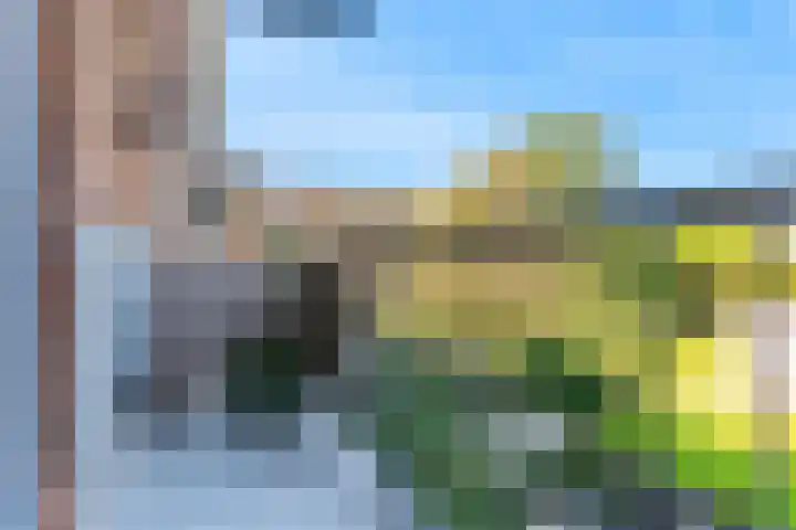 Willem de Zwijgerlaan 8 Alphen aan den Rijn thumbnail 17