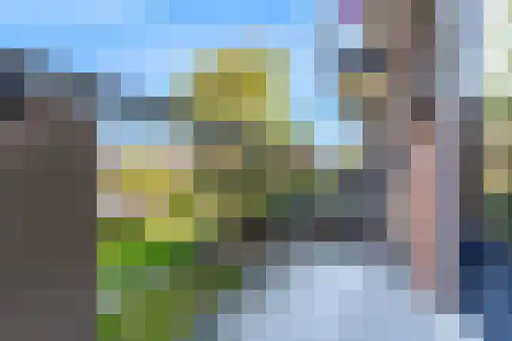 Willem de Zwijgerlaan 8 Alphen aan den Rijn thumbnail 18