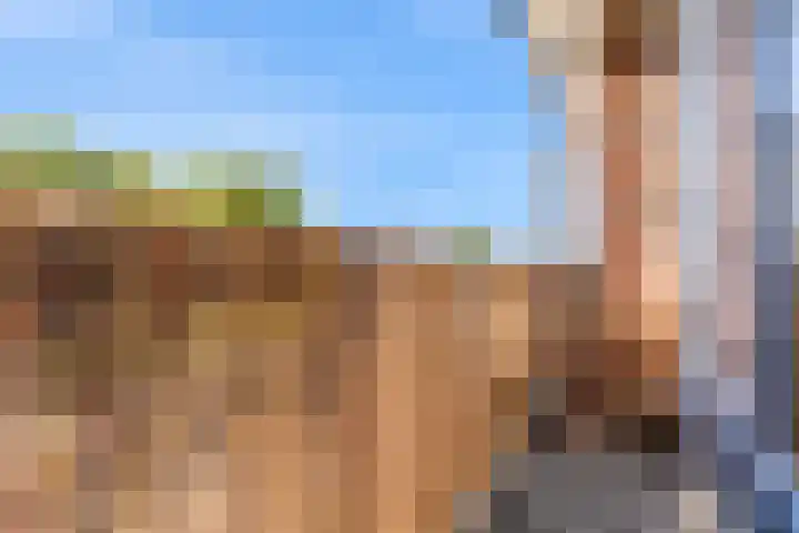 Willem de Zwijgerlaan 8 Alphen aan den Rijn thumbnail 5
