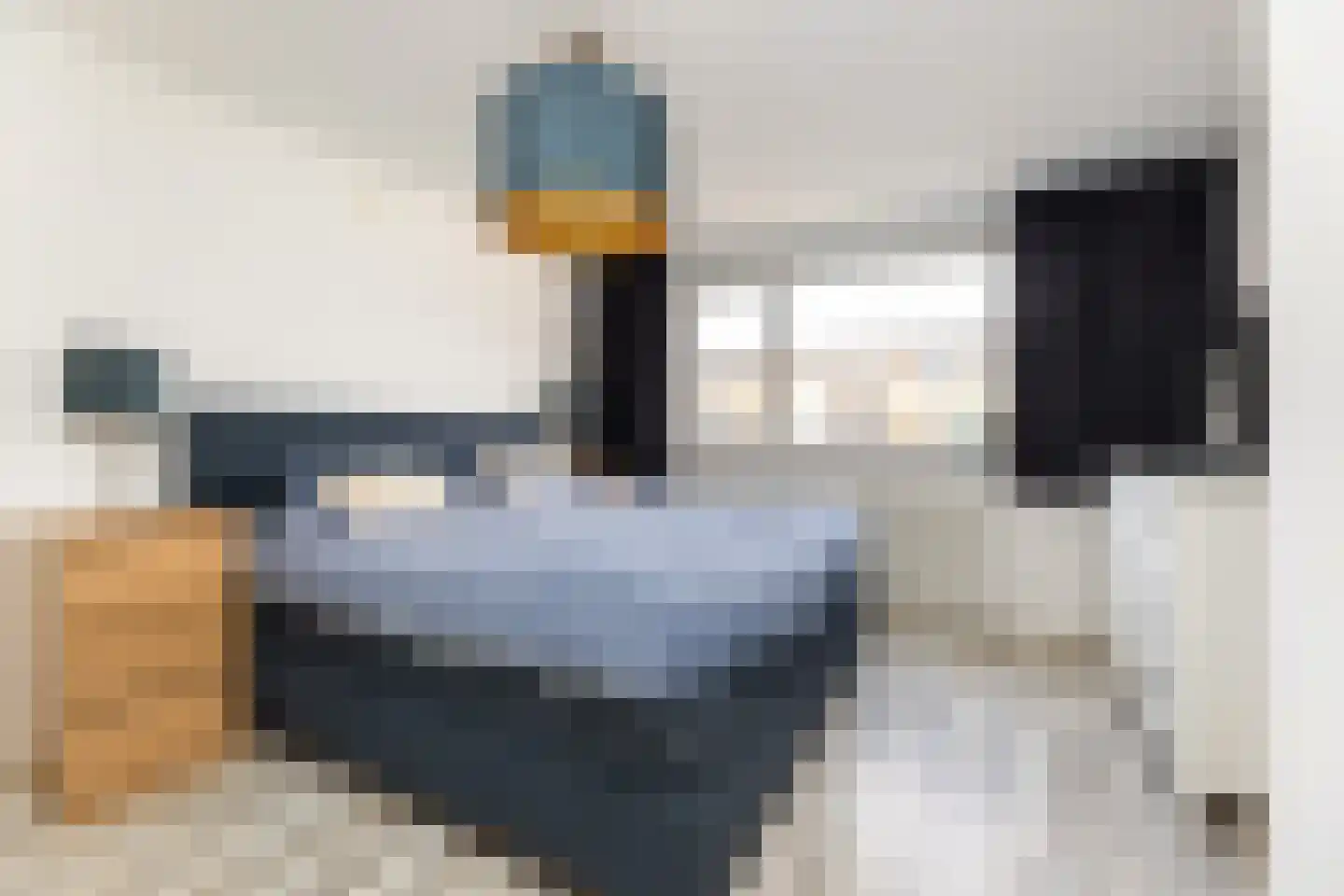 Willem de Zwijgerlaan 8 Wijhe thumbnail 12