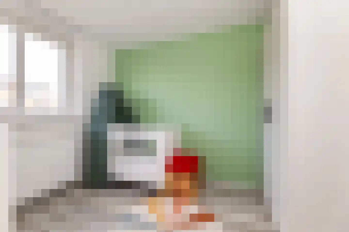 Willem de Zwijgerlaan 8 Wijhe thumbnail 17