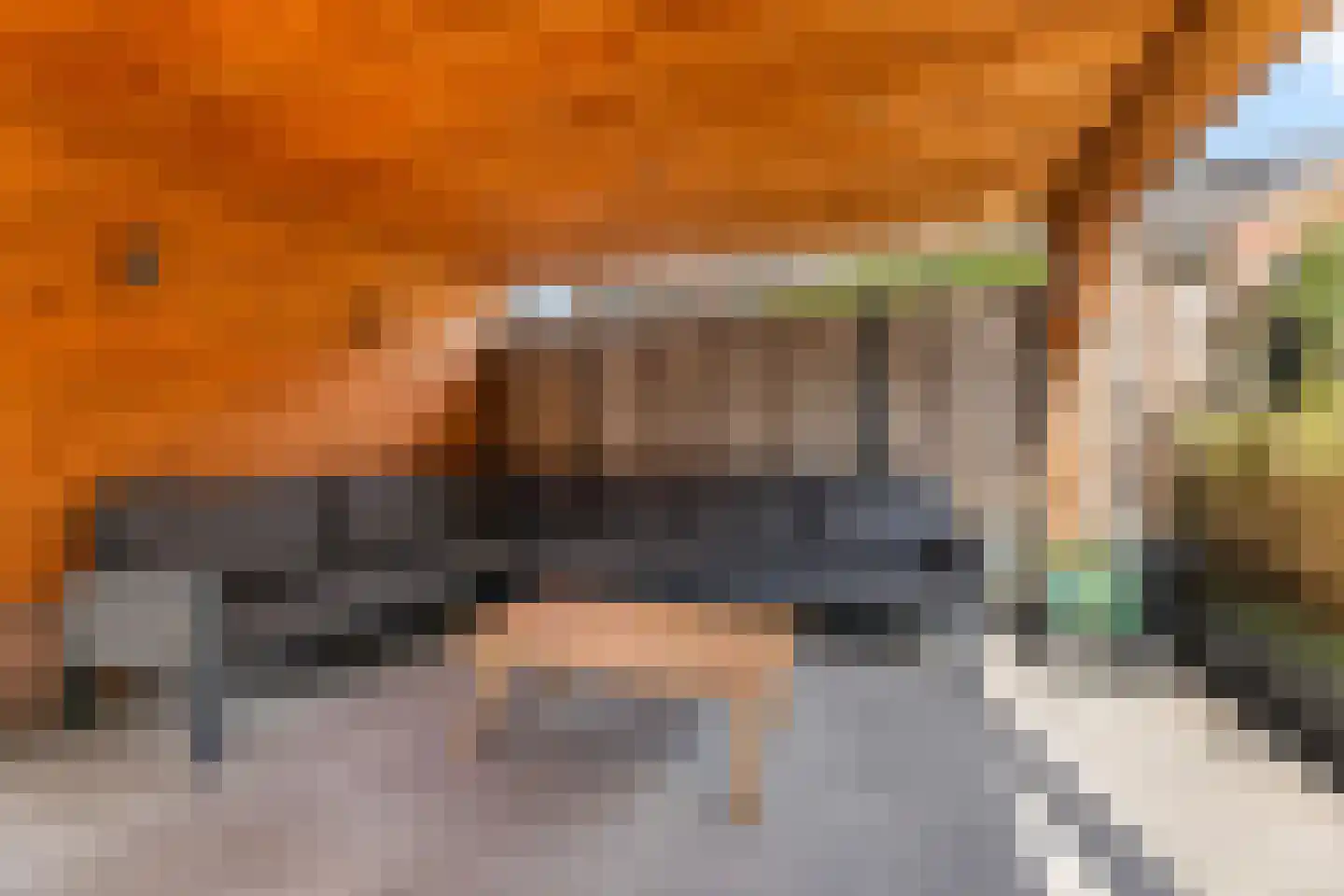 Willem de Zwijgerlaan 8 Wijhe thumbnail 25