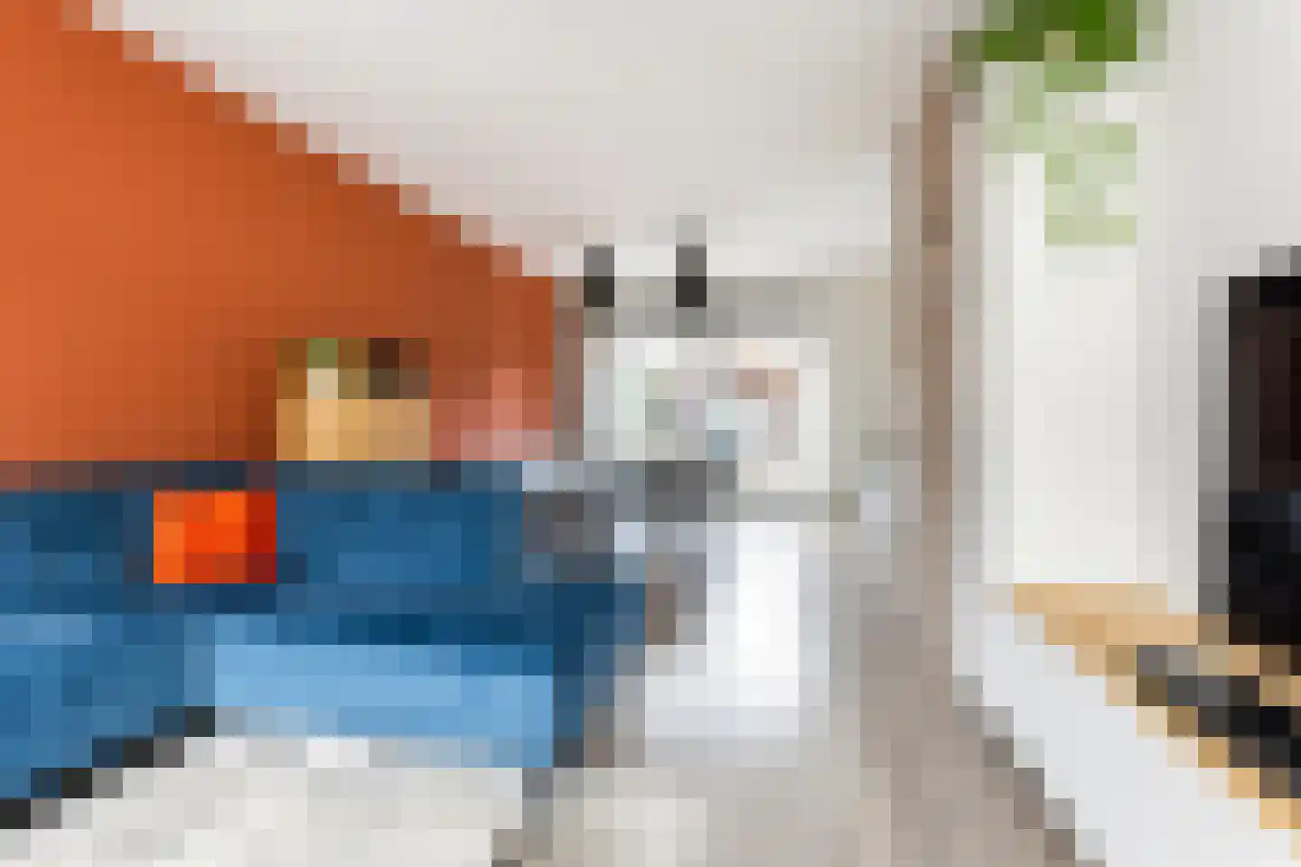 Willem de Zwijgerlaan 8 Wijhe foto 3
