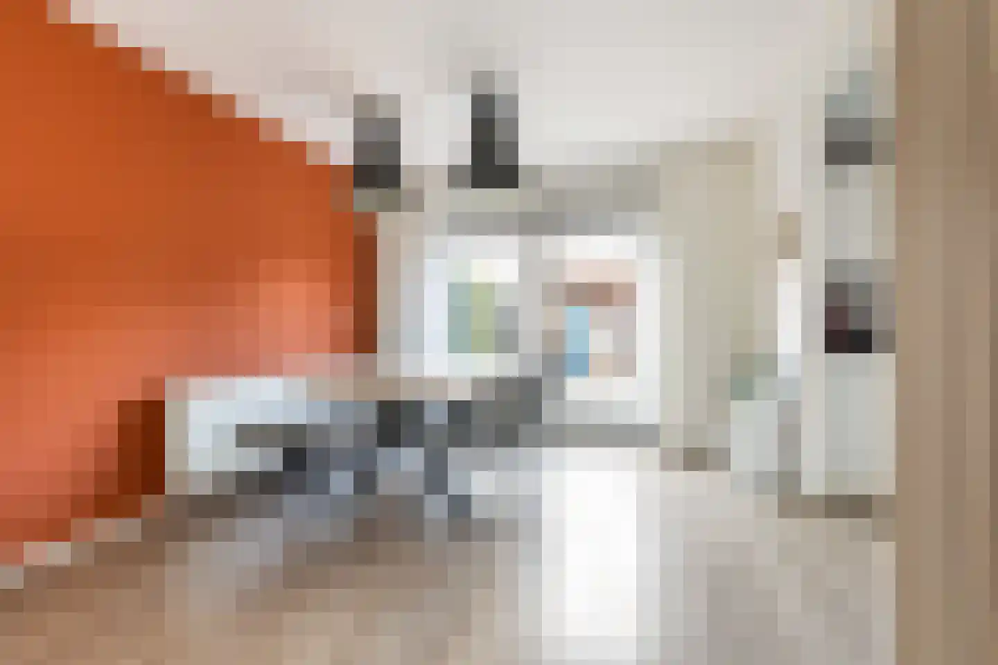 Willem de Zwijgerlaan 8 Wijhe thumbnail 5