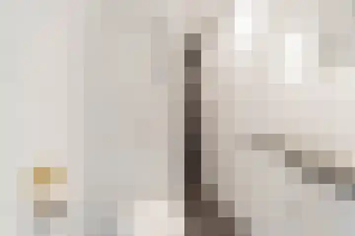 Willem de Zwijgerlaan 80 1 Amsterdam thumbnail 17