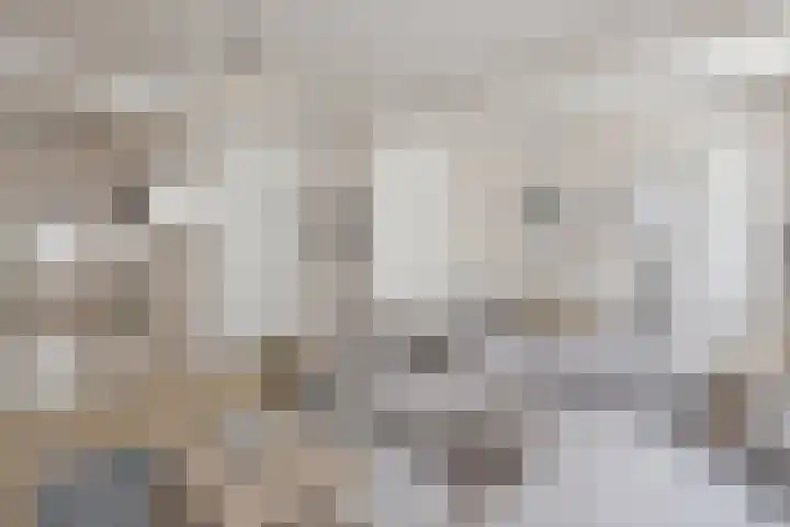 Willem de Zwijgerlaan 80 1 Amsterdam thumbnail 5