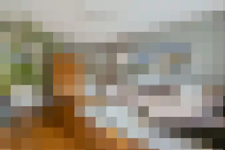Willem de Zwijgerlaan 81 1 Amsterdam thumbnail 5