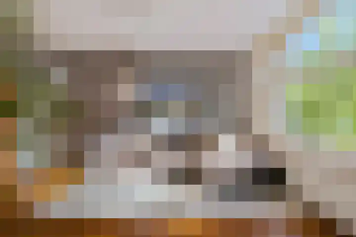 Willem de Zwijgerlaan 81 1 Amsterdam thumbnail 6