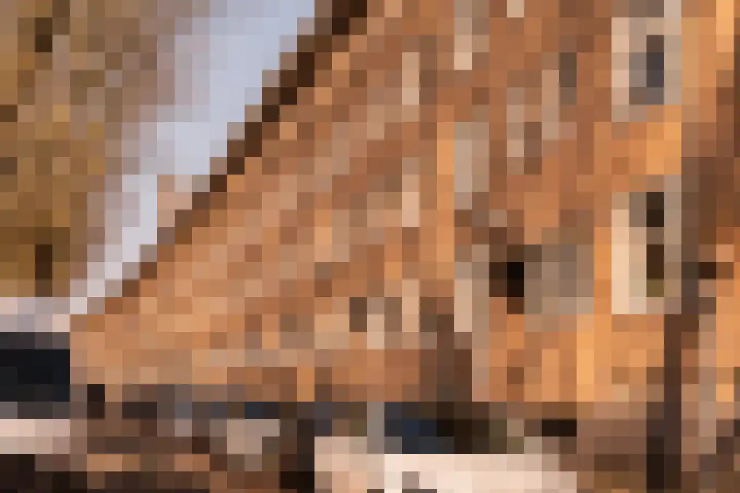Willem de Zwijgerlaan 82 3 Amsterdam thumbnail 26