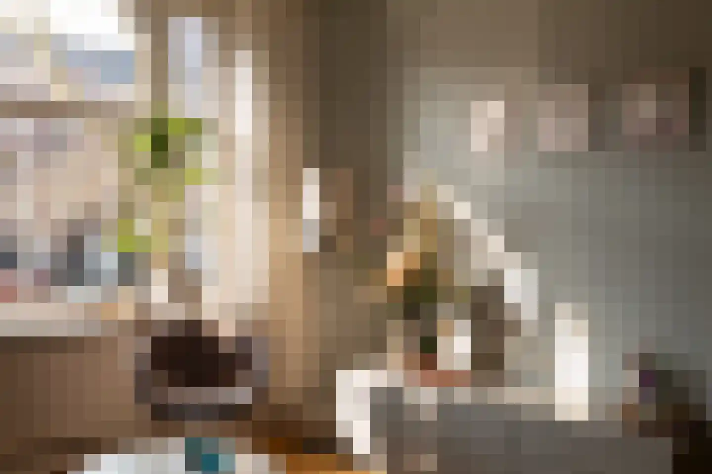 Willem de Zwijgerlaan 82 3 Amsterdam thumbnail 6