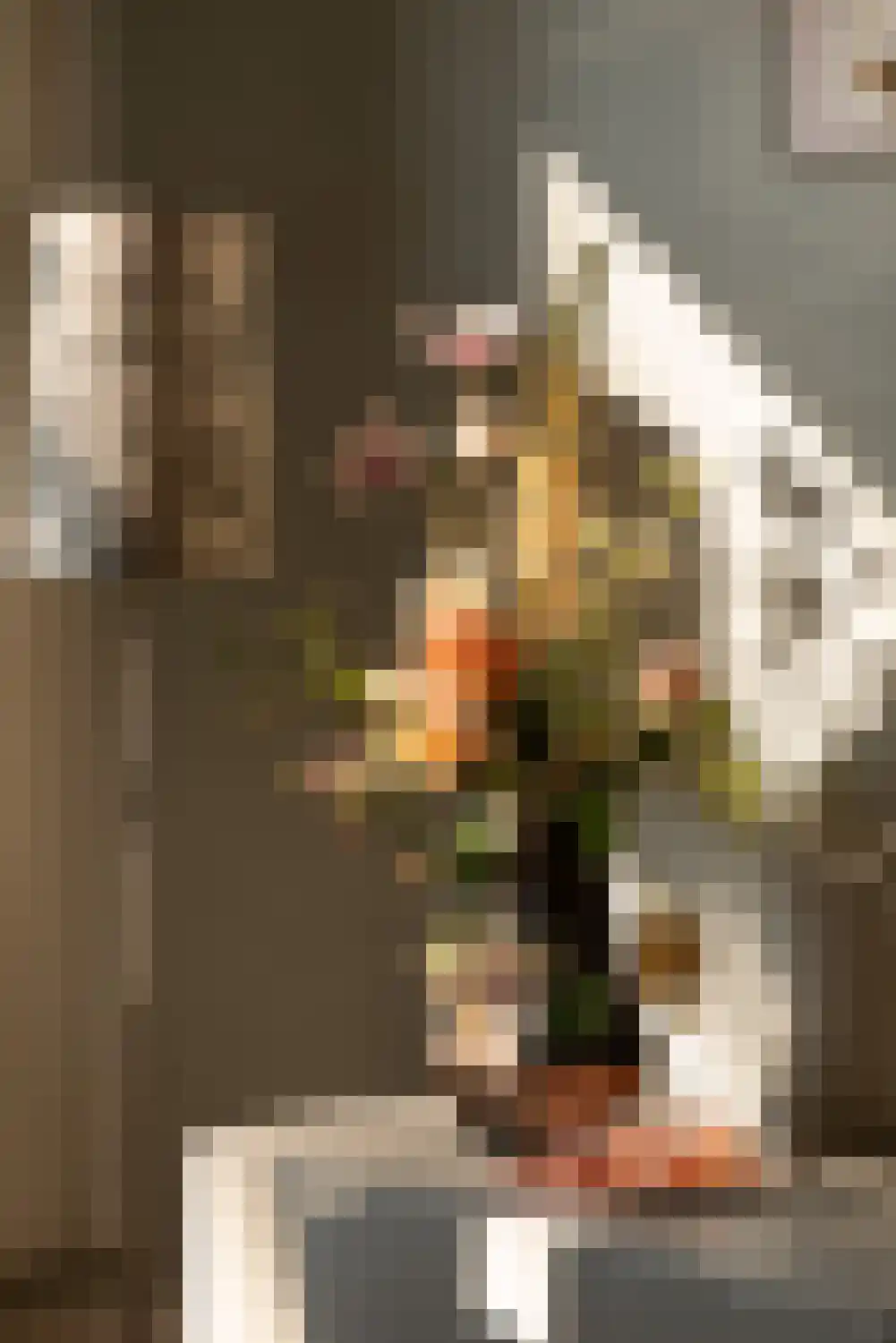Willem de Zwijgerlaan 82 3 Amsterdam thumbnail 8
