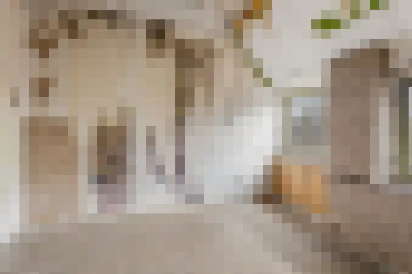 Willem de Zwijgerlaan 87 2 Amsterdam thumbnail 29