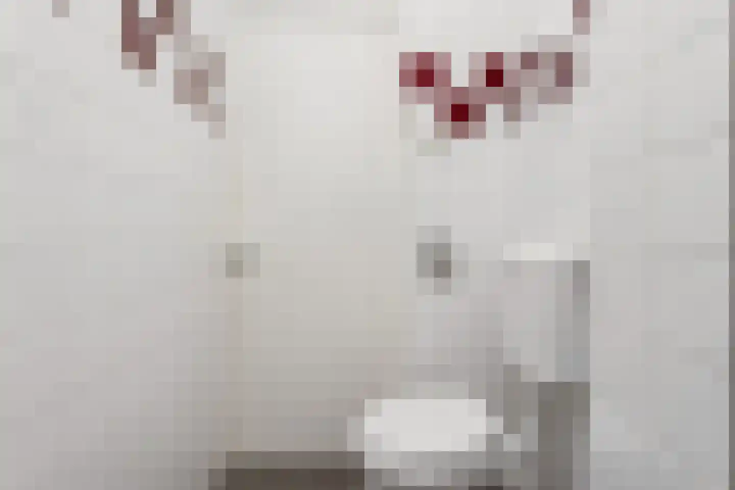 Willem de Zwijgerlaan 87 H Amsterdam thumbnail 25