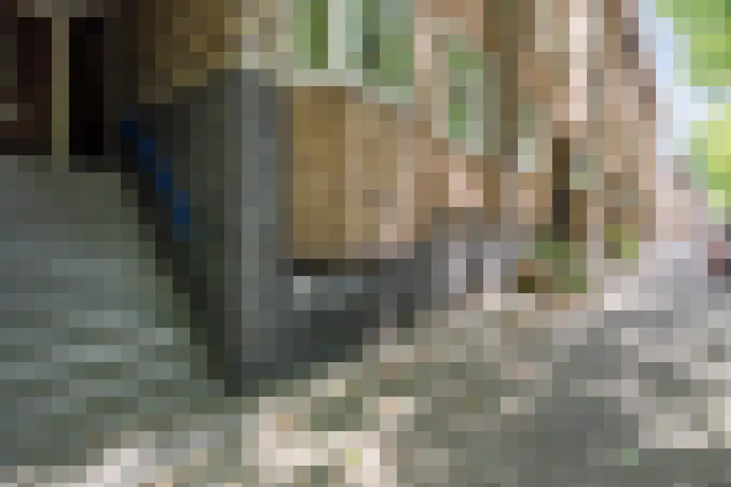 Willem de Zwijgerlaan 88 1 Amsterdam thumbnail 7
